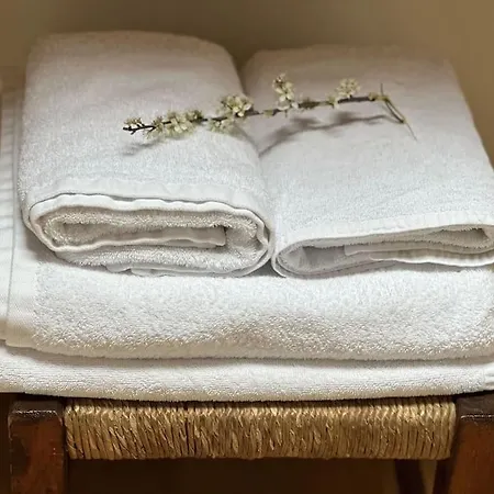 La Glera. En El Centro De * Sallent de Gállego