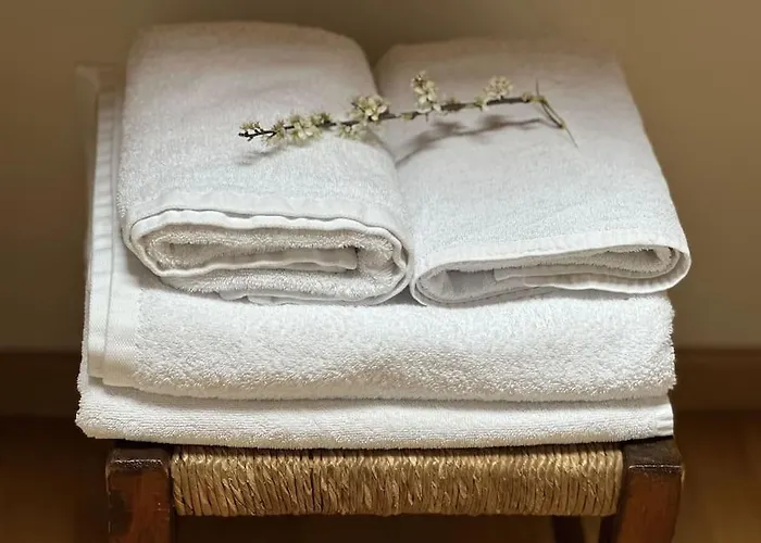 La Glera. En El Centro De * Sallent de Gállego